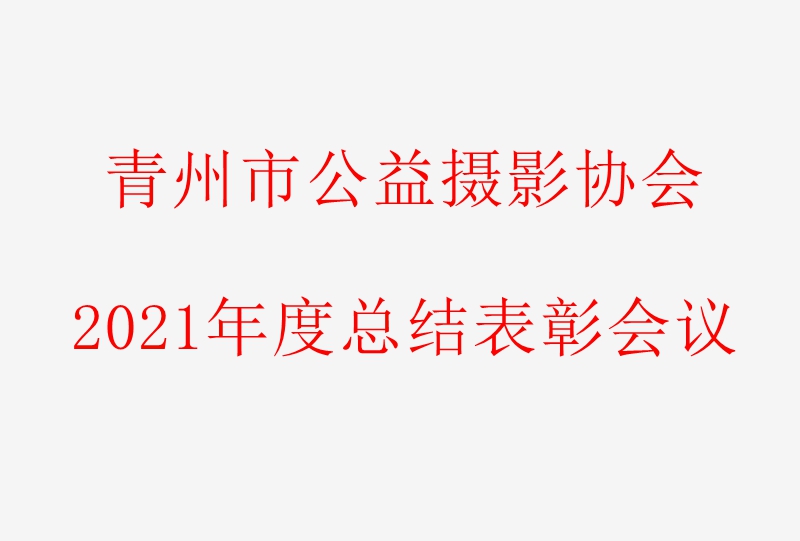 青州市公益摄影协会2021年度工作总结暨表彰大会顺利召开