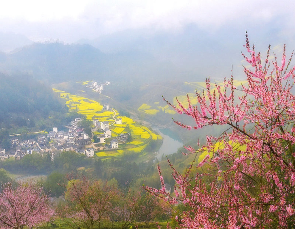 125 2019年4月拍摄于安徽歙县石坛. &nbsp;春光如画美.摄影:韩永奎.