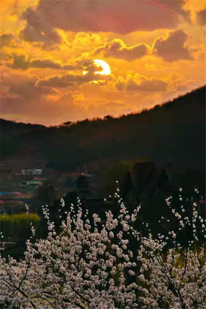 我秀美图2021年4月第三至四期周佳作入围作品