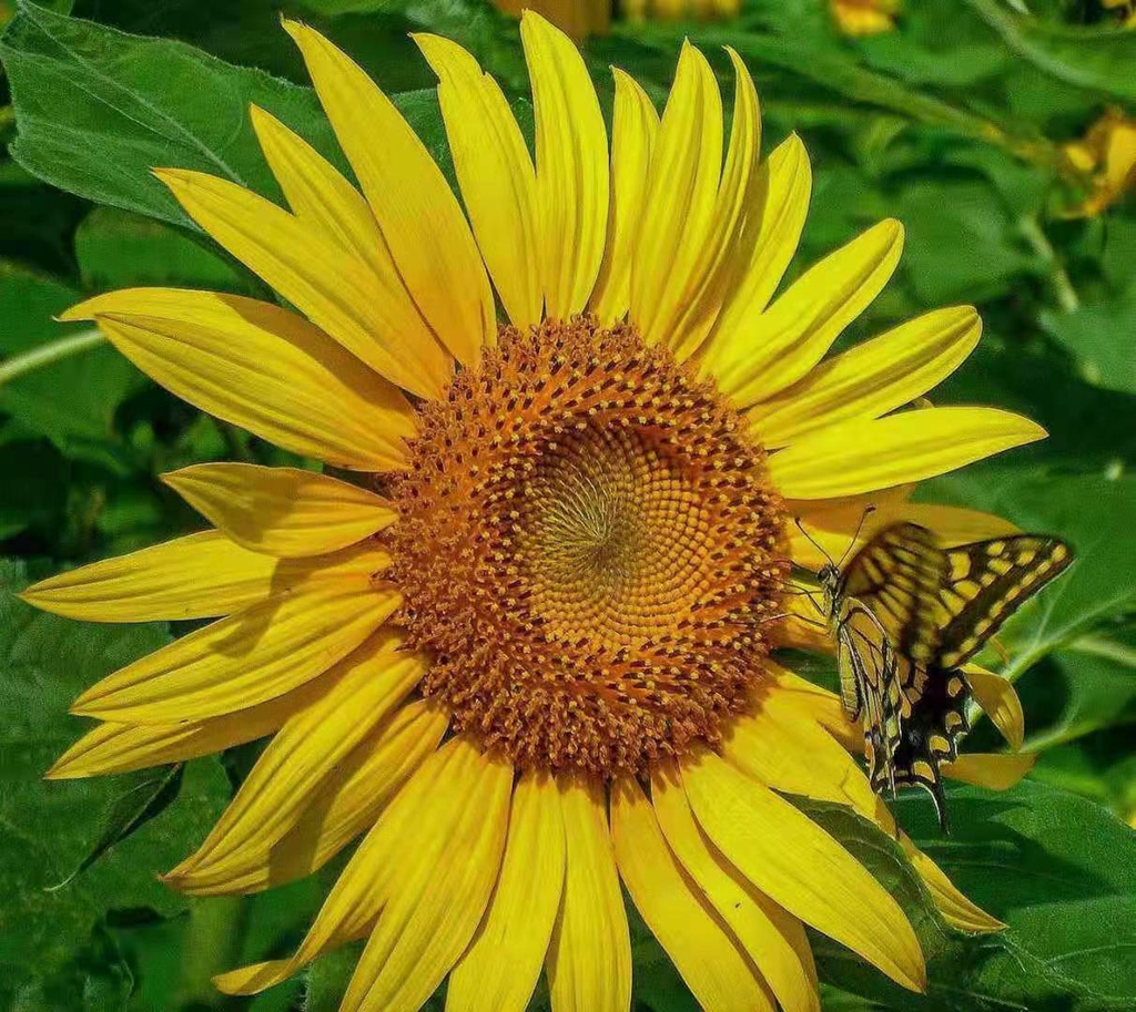 【我秀美图】2021年2月第二期"周佳作"入围作品