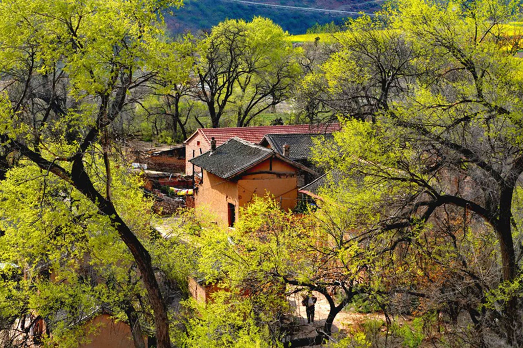 043 &nbsp;2020年5月拍摄于山西沁源.乡村记忆.摄影:贾月明.jpg