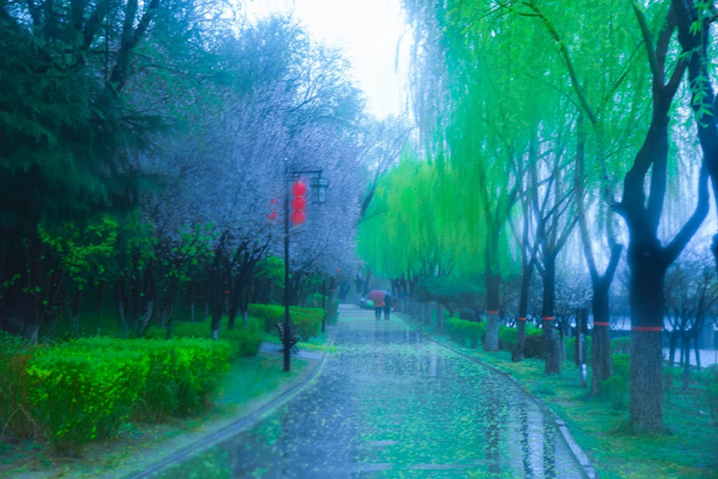春雨润如酥摄影:于青华jpg
