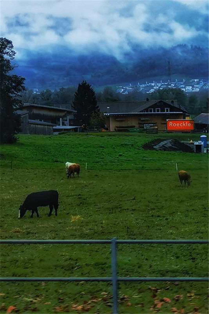 【我秀美图】2020年9月第二期"周佳作"入围作品