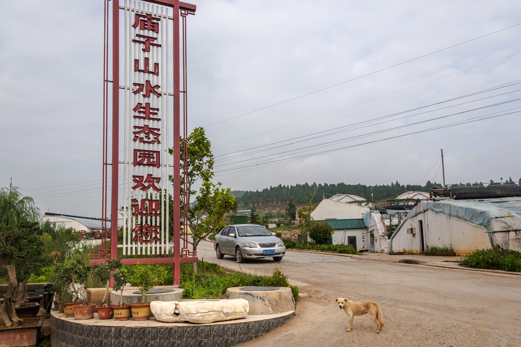 大棚採摘,生態示範和觀光旅遊為主的大型綠色生態園,佔地千餘畝,投資